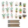 3D Cactus Stickers - GRAINE CREATIVE - 18 Stickers - Multicolor - 20 Kraft Labels - Mixed