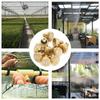 30PCS 10/24 UNC Thread Brass Misting Nozzle Brass Mist Sprayer Nozzle  Landscaping Humidification