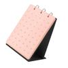 Versatile Sturdy Felt Jewelry Collection Board with 280 Slots for Organizing Earrings and Brooches Stylish Outfits