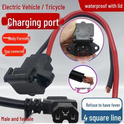 Port de charge universel C13 pour véhicules électriques à trois roues