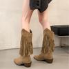 Autumn/Winter Style Pointed Tassel Rider Boots, Chunky Heels, High Heels, Tall Boots With Rivets, V-Neck High-Top Martin Boots For Women