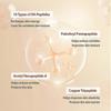 1-5x Korejské sérum proti stárnutí s peptidy hedvábí Collagen Boost, Okamžitý lifting a 72H hydratace méně
