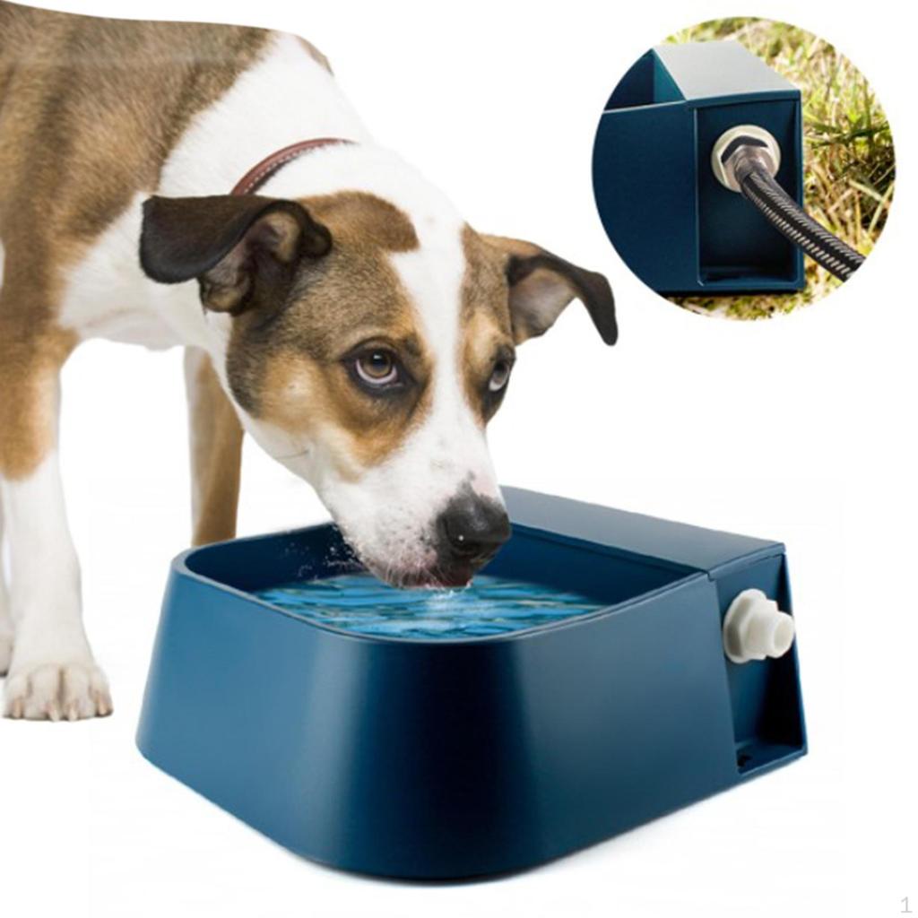Pet Waterer Dish Automatic Fill Water Bowl, Feeder with Float