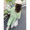 Girls Flower Print Sweatshirt and Pants Outfit 2 Piece Set Long Sleeve Casual Tracksuit for Toddler Kids Spring Autumn Clothing