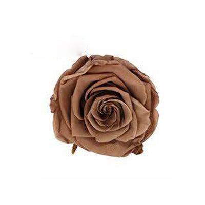 P-1 21 Preserved Roses in a Box Wedding Decor Floral Arrangements Wedding Dried Flower Home Decor Baby Shower Flowers 2~3cm