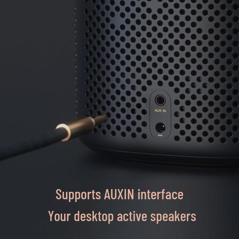 Xiaomi Xiaoai Speaker Pro (CN version)