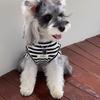 Breathable Striped Summer Vest for Small Dogs: Schnauzer, Yorkshire Terrier, Teddy