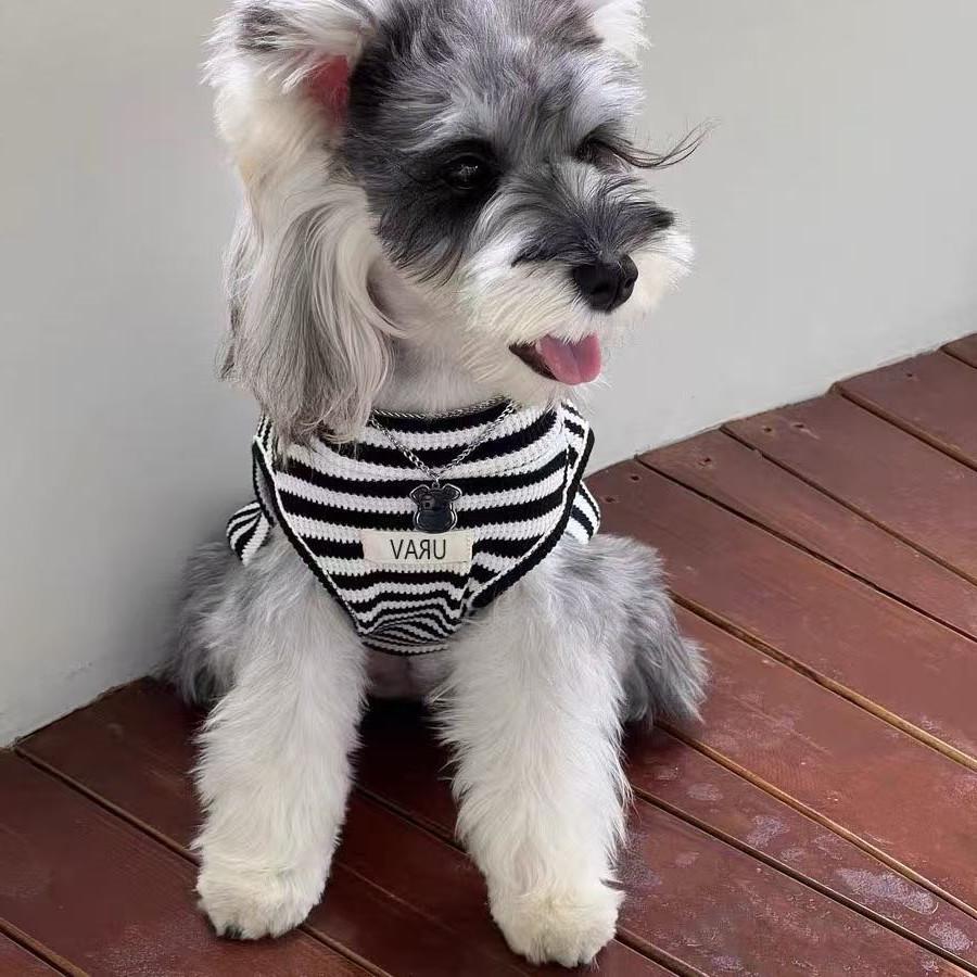 Breathable Striped Summer Vest for Small Dogs: Schnauzer, Yorkshire Terrier, Teddy