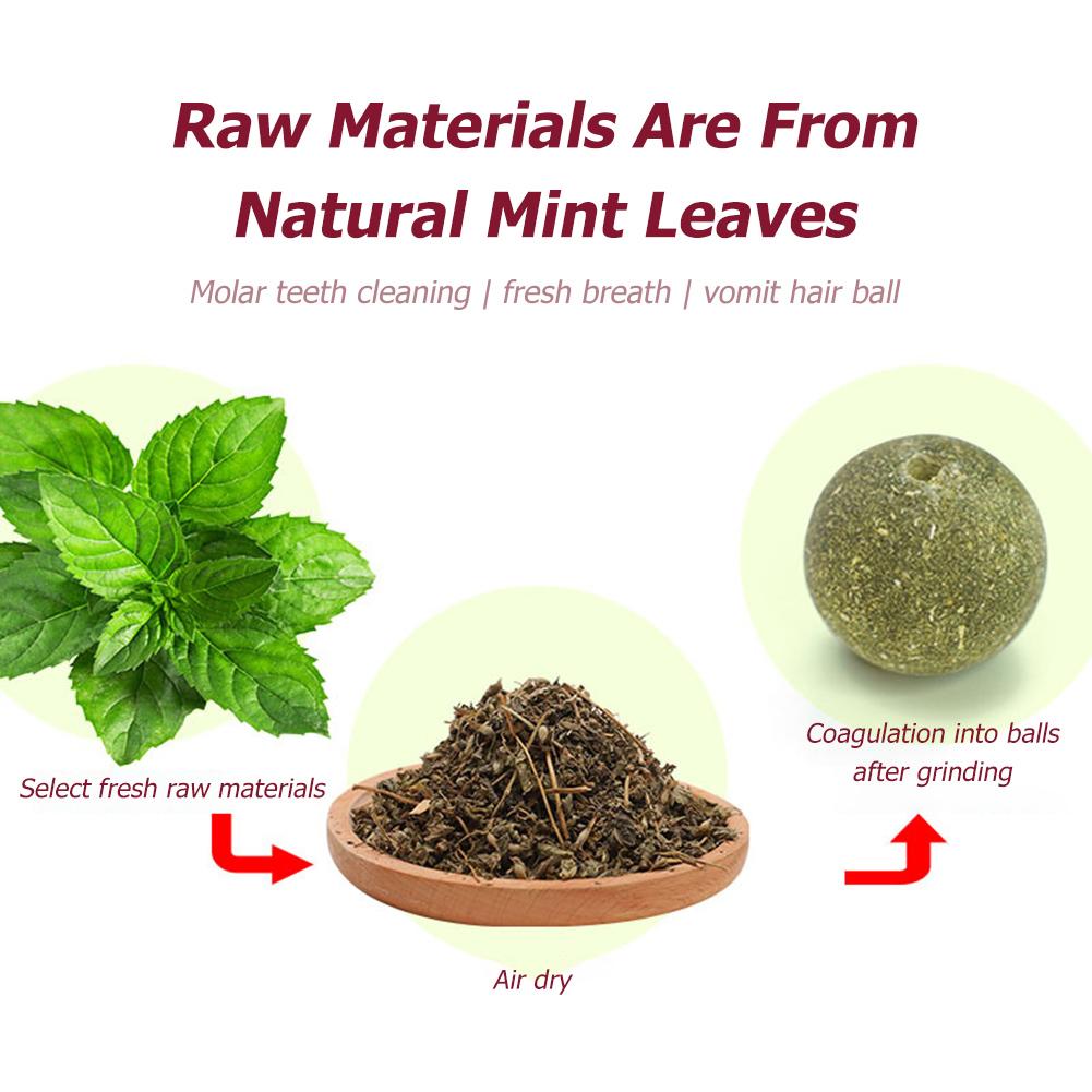 Katzenminze Wandbälle Leckbar Drehbar Katzenminze Wandspielzeug Natürliche Katzenminze Wand Katzenminze Rolle Katzen Snack Ball Zahnreinigung Katzenminze Spielzeug
