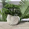 European Style Retro Conch Bonsai Flower Pot - Small Home Decoration Ornament for Living Room