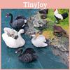 Animal Figurine With Realistic Plastic Ducks Rooster Swans For Educational Display And Collecting