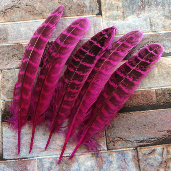 10 Pcs Beautiful High Quality 10-15cm/4-6inches Natural Pheasant Feathers 11 Colors Optional DIY Decorative