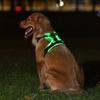 Light Up LED Dog Harness Rechargeable Flashing Luminous Pet Chest Strap Soft Padded Collar Dog Glow Vest for Night Walking