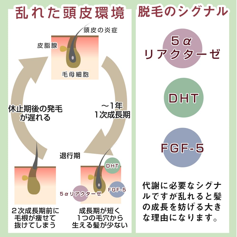 Asstyle GOPHA Scalp Medicat pentru Bărbați și Scalp și Șampon Amino Uleios, Produs parafarmaceutic, 280ml, Femei, Calificat pentru Salon, Îngrijire, Mâncărime, Acnee,