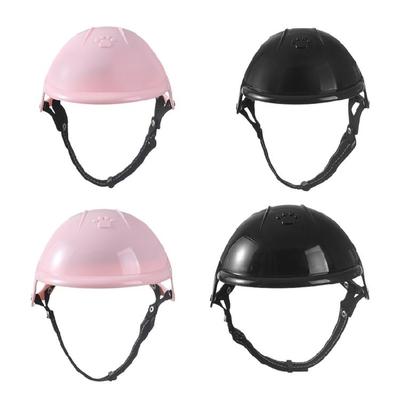 Abbigliamento e scarpe – Cappelli per cani