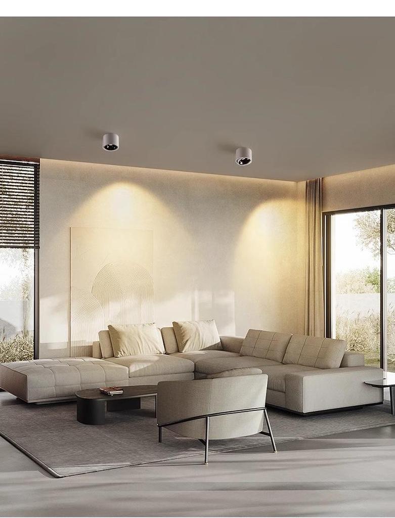 Ultra-Thin Adjustable Angle Anti-Glare Bullseye Spotlight for Living Room Ceiling