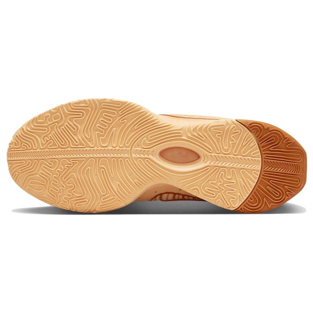 New Nike LeBron 21 'Melon Tint' FV2345-800