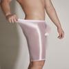 See Through Men Underwear Sheer Shiny Shorts Trunks Swim