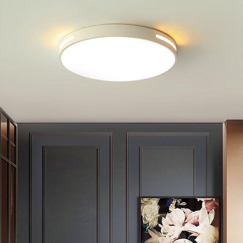 Modern Minimalist LED Ceiling Light