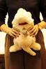 Yoshitoku Labrador Retriever Plush Small Toy, White,