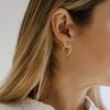 Jinxiuge 12 Pairs Gold Hoop Earrings Set Stainless Steel Twisted Round Small Chunky Hoop Earrings for Women