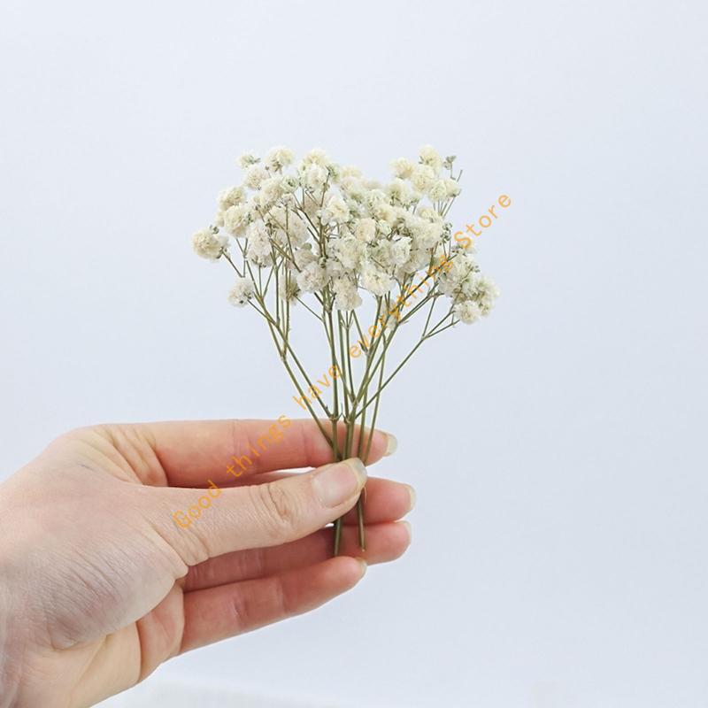 Set aus 50 getrockneten Schleierkraut-Bündeln, ewige Blumenstiele für Vasenarrangements, Dekoration, Tischmittelstücke 55KF