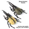 "Oversized Beetle Model Ornaments: Children's Animal Simulation Toys"