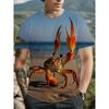 Fashion Men's Crew Neck Short Sleeve 3D Crab Color Printing Crew Neck T-Shirt Crab Short Sleeve