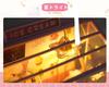 Miniature Dollhouse DIY Kit Set with LED Lights (Ice Cream Shop)