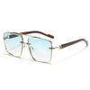 Zinc Zinc Alloy Double-bar Sunnies Eyewear Anti-UV Plain Glasses Unisex Polarized Sunglasses  Summer