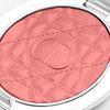 Bag Dior Diorskin Forever Glow Luminizer Highlight Gift Present [Shop Included] (04 (Pink Strobe), 6g)