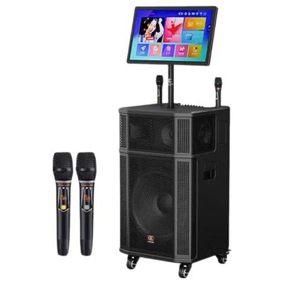 SG30 High-Power Karaoke & Live Streaming Trolley Speaker (CN Version)