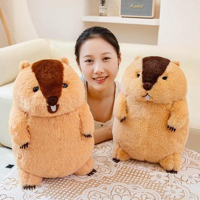 Chubby Groundhog Doll Plush Toy Hamster Squirrel Doll Children's Soothing Ragdoll Birthday Gift
