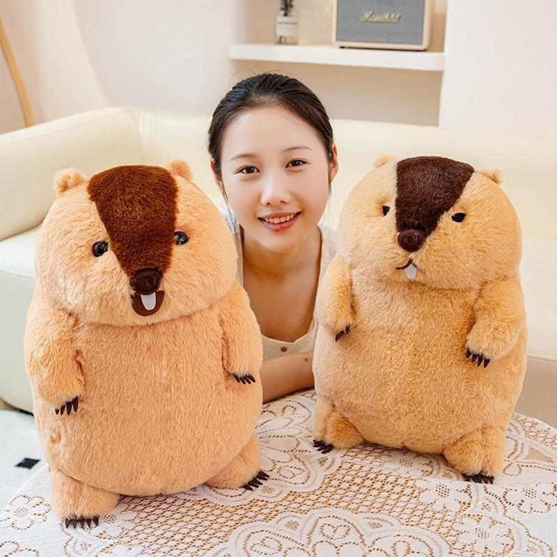 Bambola Marmotta Cicciottella Peluche Criceto Scoiattolo Bambini Rassicurante Panno Bambola Regalo di Compleanno