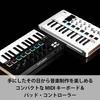 ARTURIA MIDI-Keyboard-Controller MiniLab 3 DB Deep Black