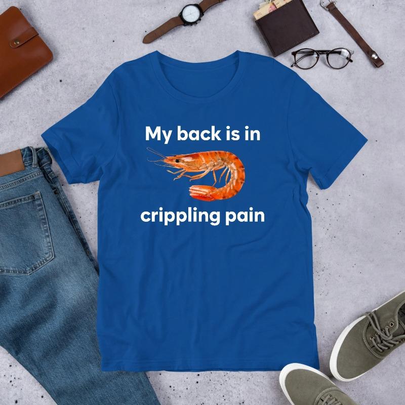 

My Back Is In Crippling Pain Shrimp Funny Meme Shirt Ironic Shirt Weirdcore Clothing Joke Gift Oddly Specific 4XL