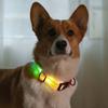 LED svítící nastavitelný obojek pro psa vhodný pro noční procházky, svítící, modrý