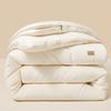 All-Season Dual-Layer Polyester Fiber Duvet Set