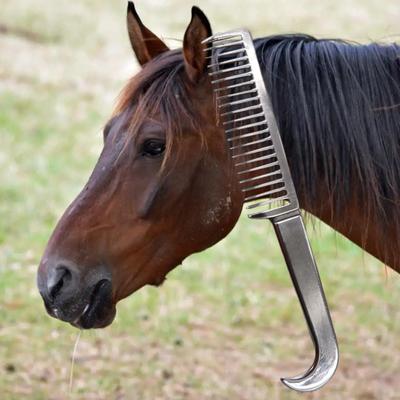 2Pcs Animal Comb Thickened Tooth Durable Polishing Surface Ergonomic Design Convenient Grooming Metal
