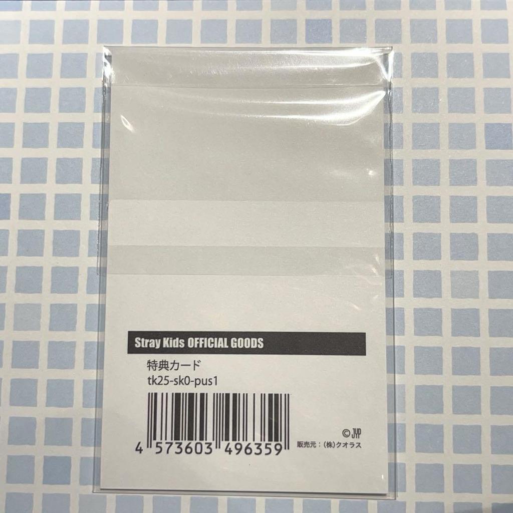 [USED] StrayKids SKIZ Pop-Up AIN 10,000 Yen Purchase Bonus Trading Card