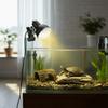 Verstellbare Heizung Schildkröten Sonnenlampe Thermostat Haustier Wärme-Glühbirne Amphibien Eidechsen