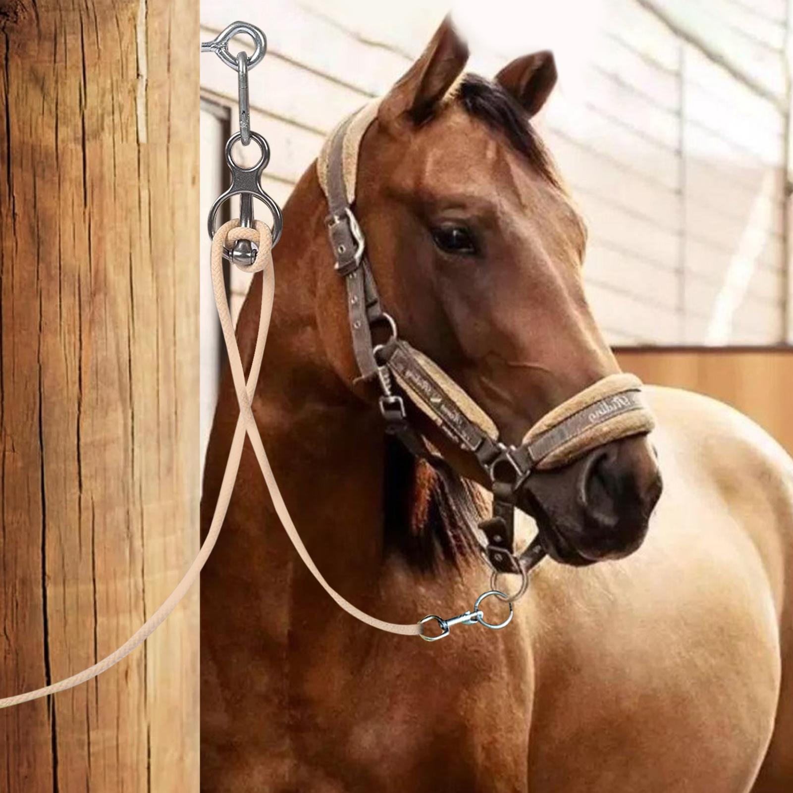 

Кольцо для крепления лошади Нержавеющая сталь Сверхпрочное С механизмом быстрого снятия Аксессуары для тренировки лошадей В помещении На улице Стойло Конюшня Для China Mainland