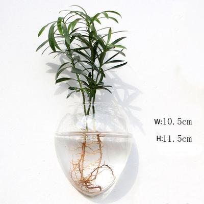 Purificare Casa Piante Idroponiche Decorazioni per la Casa Acquario da Parete Vaso Idroponico Vaso per Fiori Contenitore per Piante Fioriera