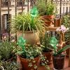 10/1x Automatic Watering Device Frog Plastic Ball Plant Self Drip Irrigation Tool Clever Lazy Flower Water Cans Vacation Supply