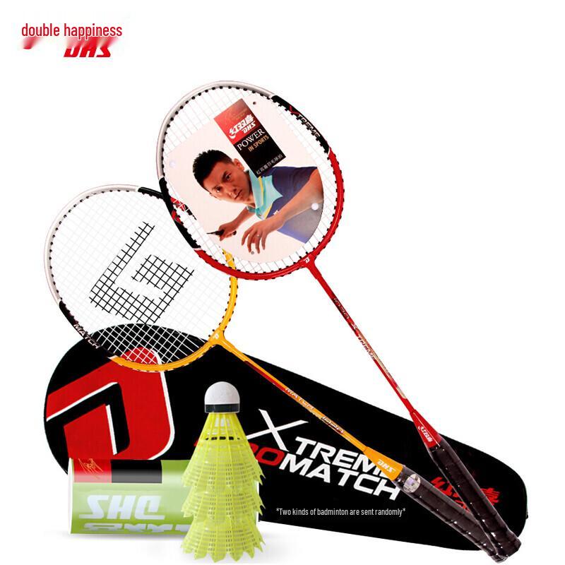 DHS Alloy Family Badminton Racket Set