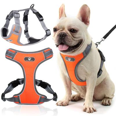 Astro Orange Dog Training Harness For Walking, Size S