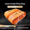 Li Hu Wang Heavy Duty Polyester Flat Lifting Sling