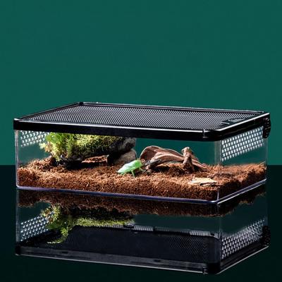 Reptielen – Reptielen terraria