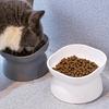 Raised Cats Food Bowls Plastic Cats Dish for Food or Water Tilted Feeding