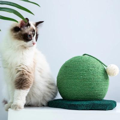 Cactus Cat Scratching Board Magic Claw Sisal Round Scratching Column Durável Anti-arranhões Brinquedo para Gatos